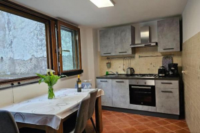 Danka House: central apartament